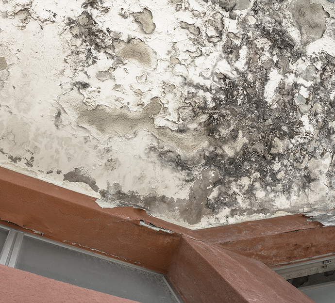 The Ultimate Guide to Damp Proofing Your Home