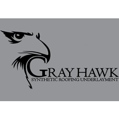 Gray Hawk