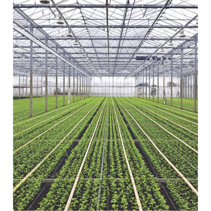 8mm PoliSoft Twinwall Polycarbonate - All Sizes